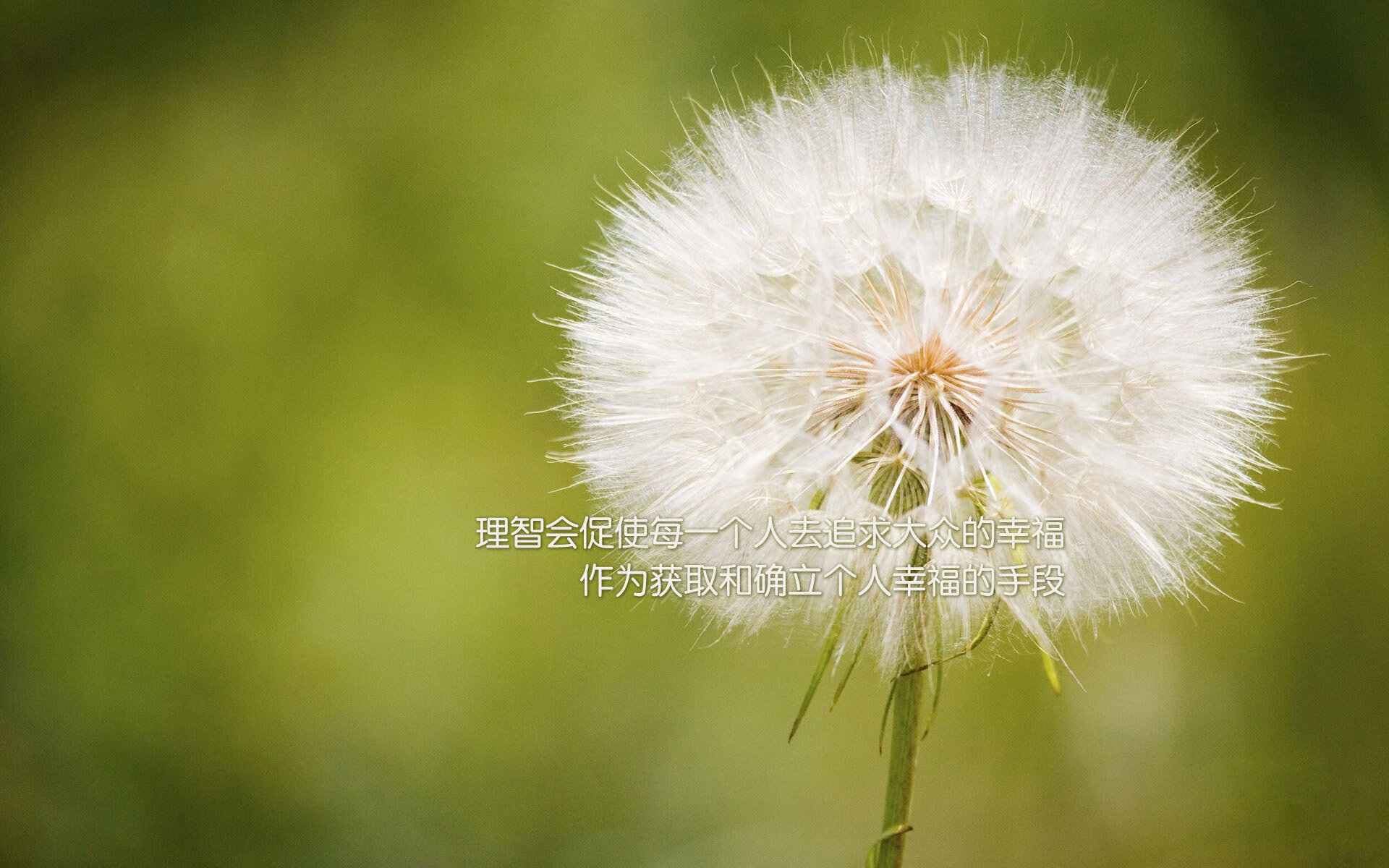kaiyun官方网站-体育赛事数字化管理系统建设，体育数字化平台