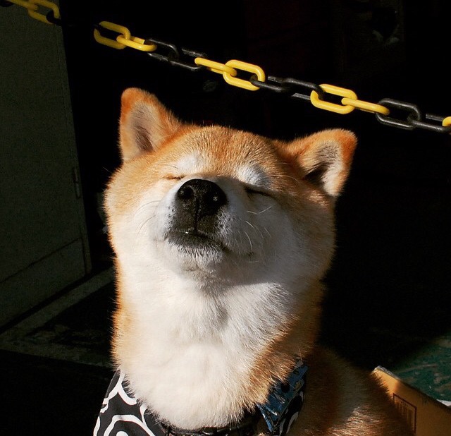 kaiyun网站-篮球运动员比赛数据采集及战术应用,篮球运动员数据填写