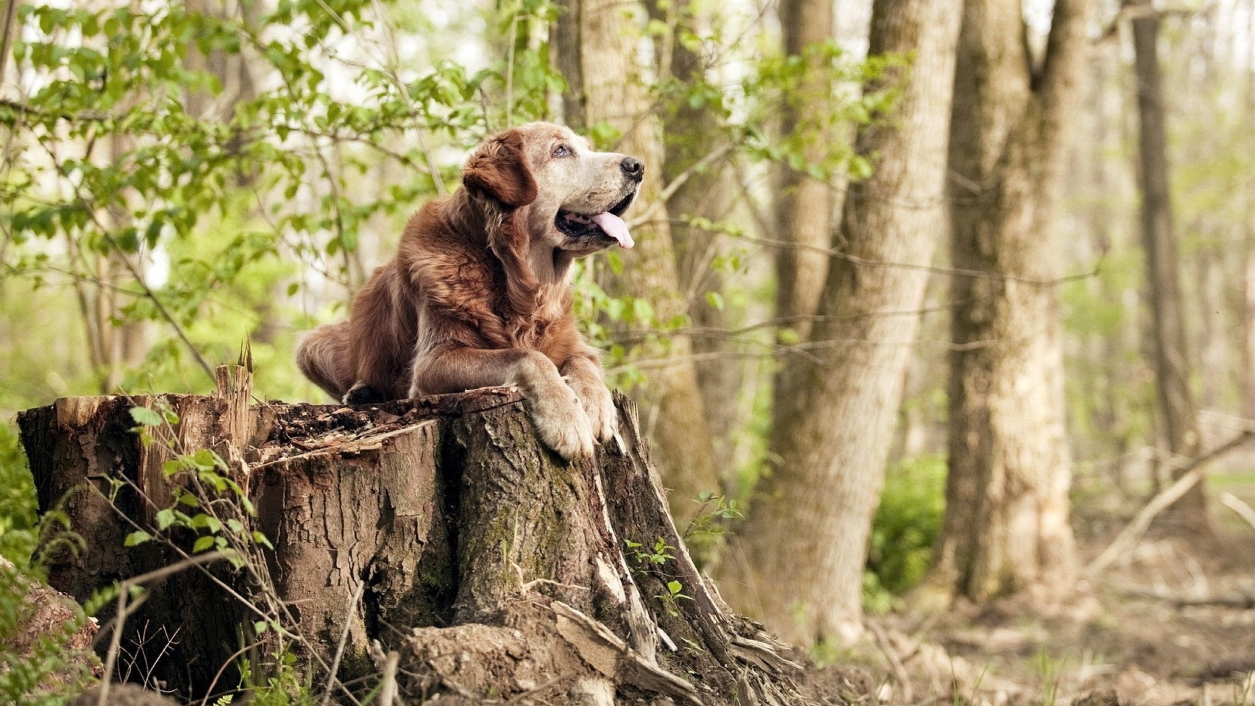 开云官方网页登录-城市马拉松赛事经济带动作用明显,城市马拉松影响市民生活