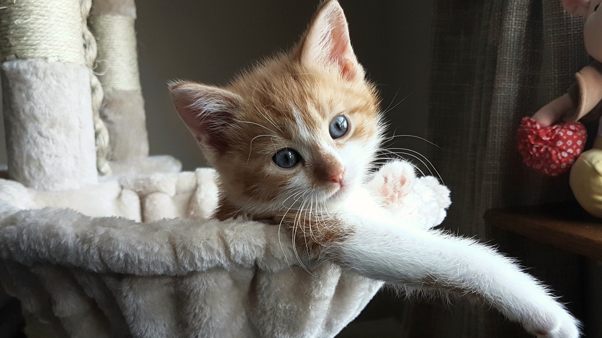 开云体育-技术统计:美队转身+起跳双领先,美队弹跳力