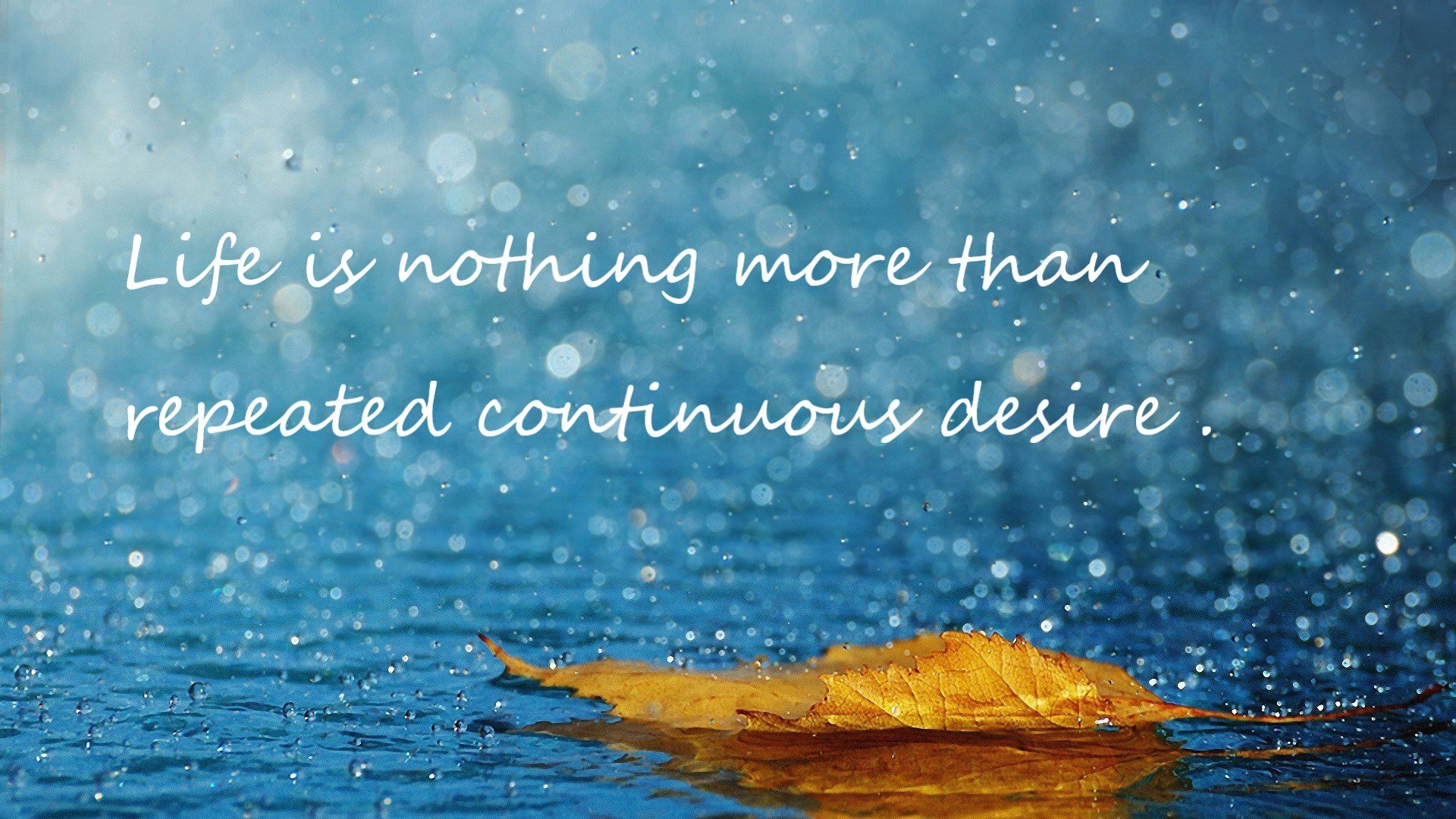 kaiyun开云·官方网站-本土球员缺乏国际比赛强度适应,本土球员是什么意思