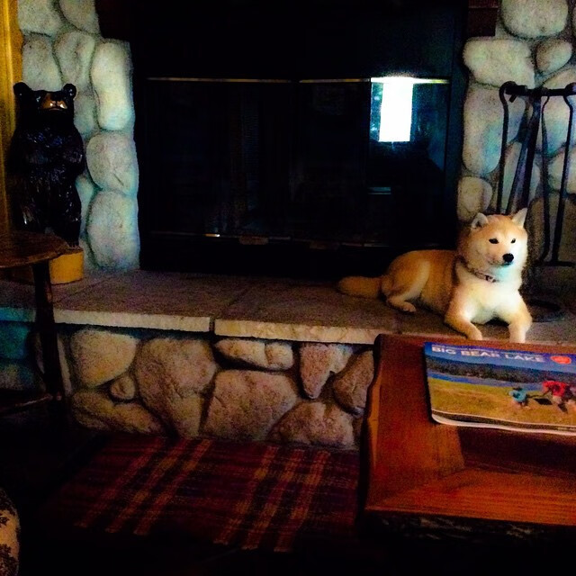 开云官网-波兰队在国际乒联混合团体世界杯中的全员协作与优势发挥,波兰 乒乓球