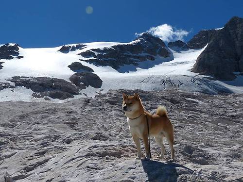 KAIYUN 中国大陆-篮球队战术沟通机制引入心理干预模块,篮球团队配合战术教学