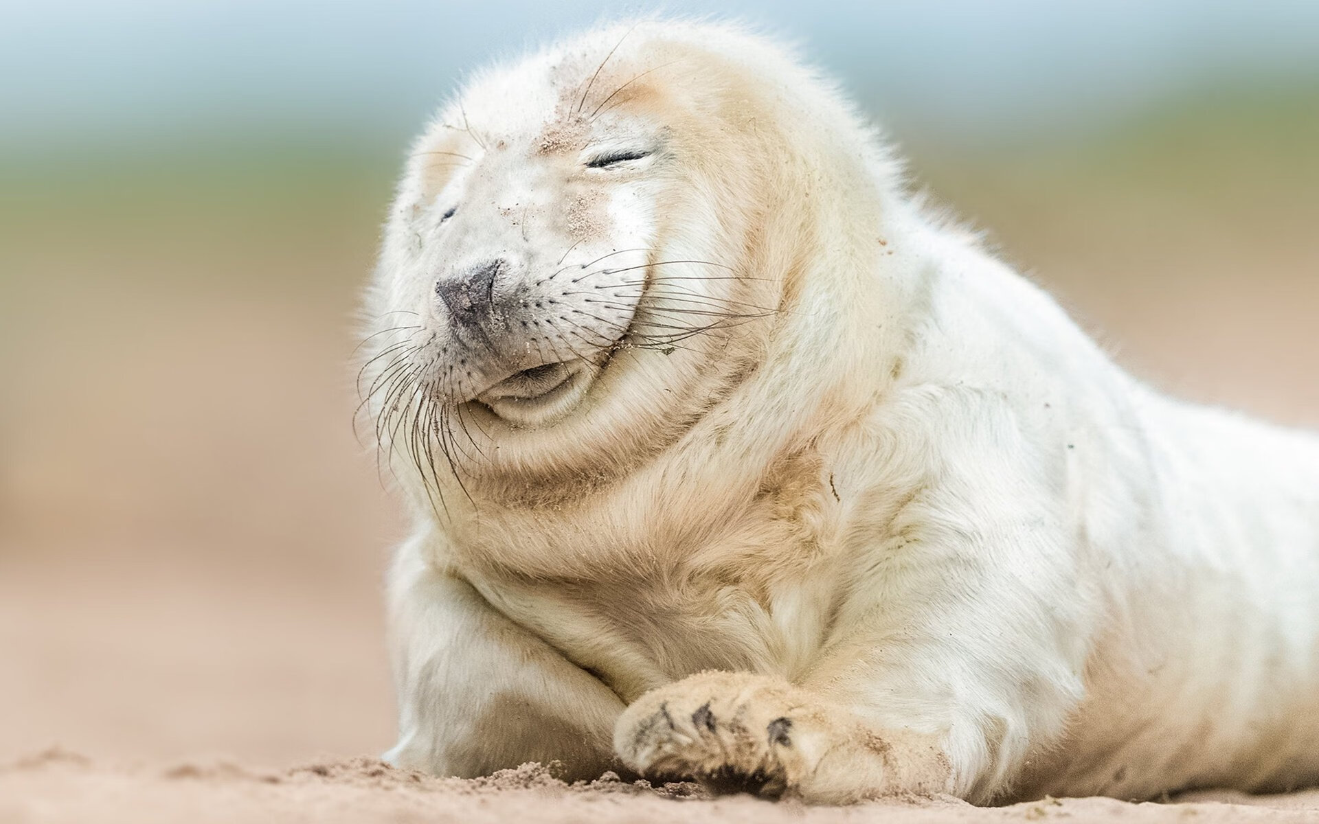 KAIYUN 中国大陆-篮球队战术沟通机制引入心理干预模块,篮球团队配合战术教学