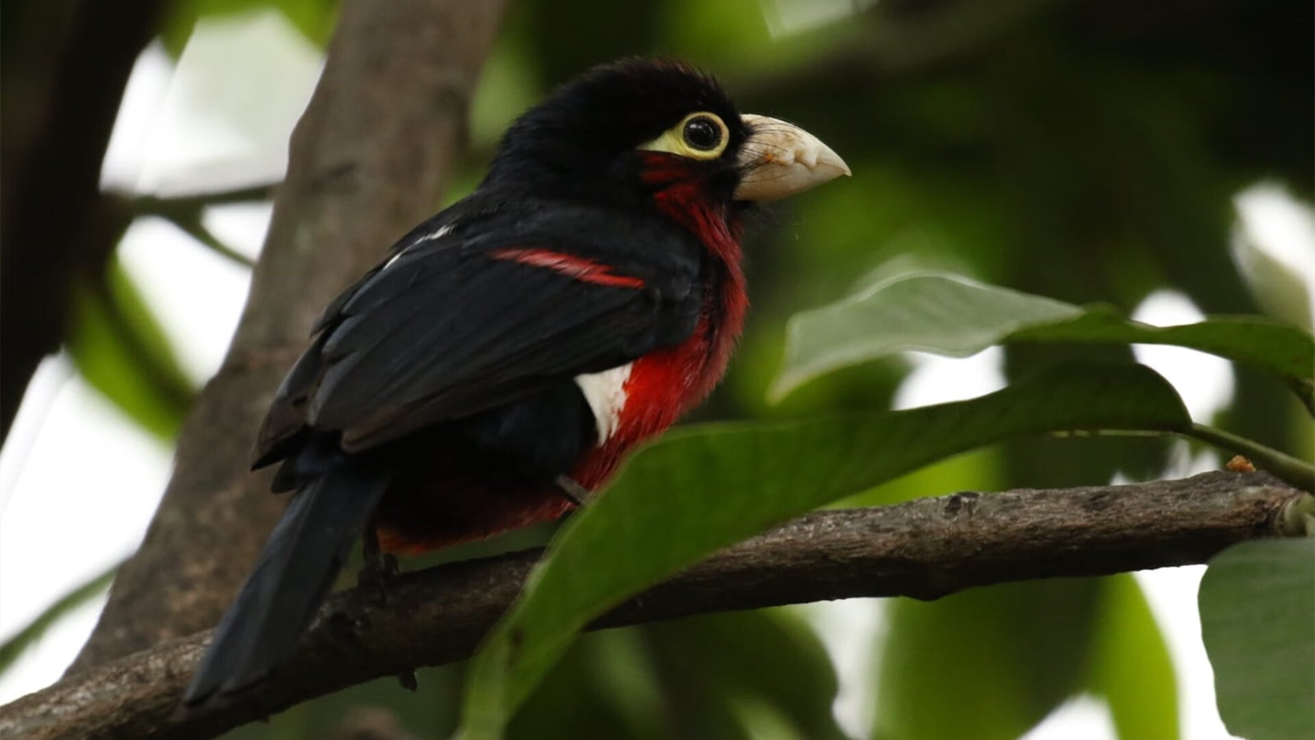 KAIYUNAPP-青训人才外流现象越发严重,青年人才队伍培养