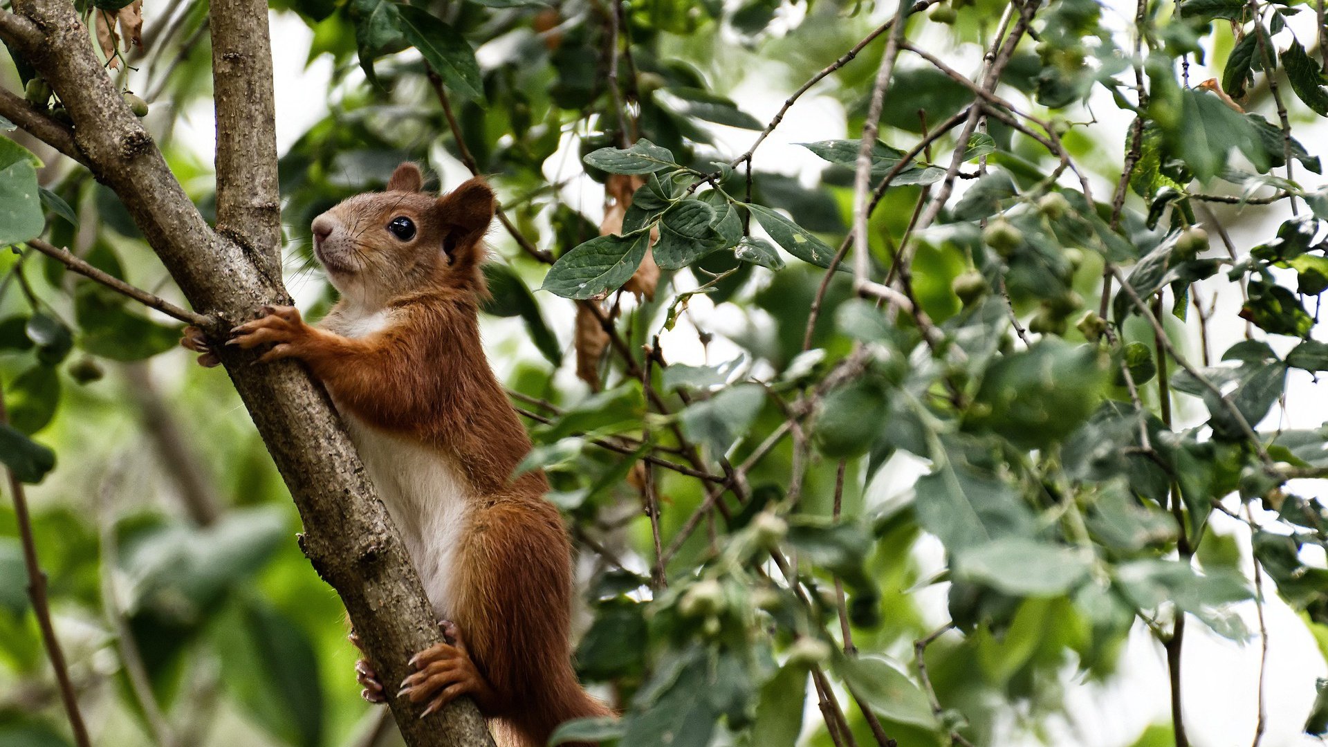kaiyun官方网站-C罗赛季进球数已追平队内头号射手，c罗联赛进球最多哪次