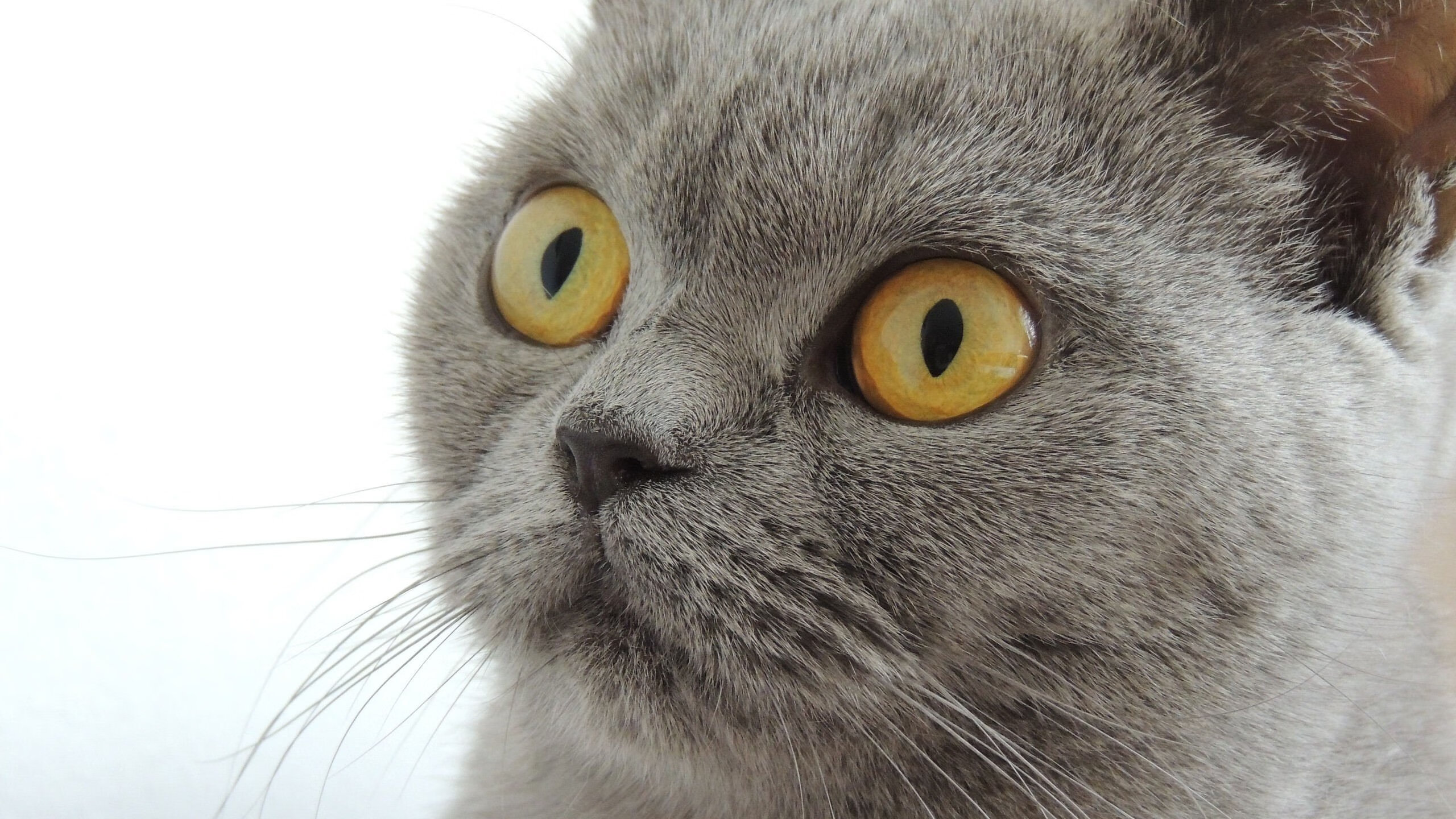 开云官方-体育产业融资环境变化,体育产业融合的效应与方式有哪些