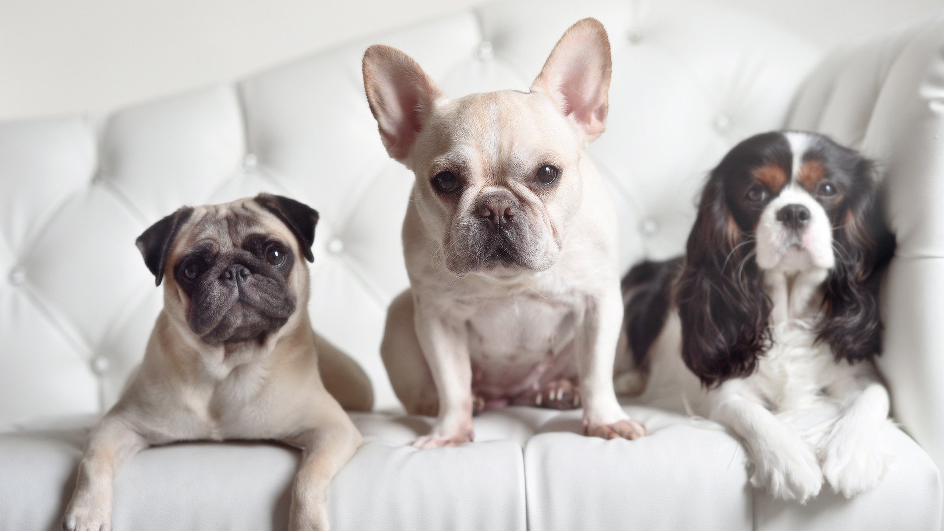 开云kaiyun-技术动作连贯，整体协调度提升，不断改进技术动作,动作基本规范