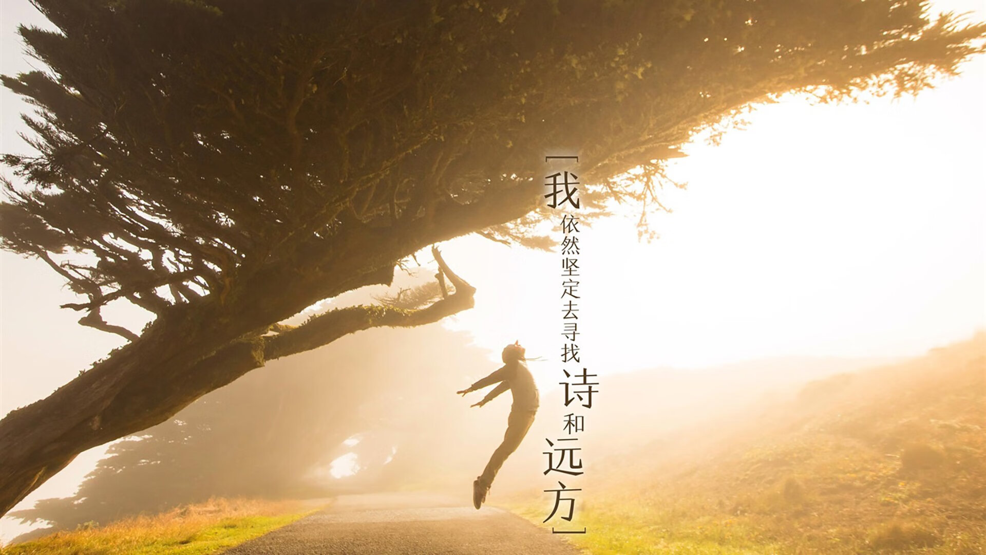 kaiyun官方网站-新媒体助力橄榄球粉丝社区成长，橄榄球社会