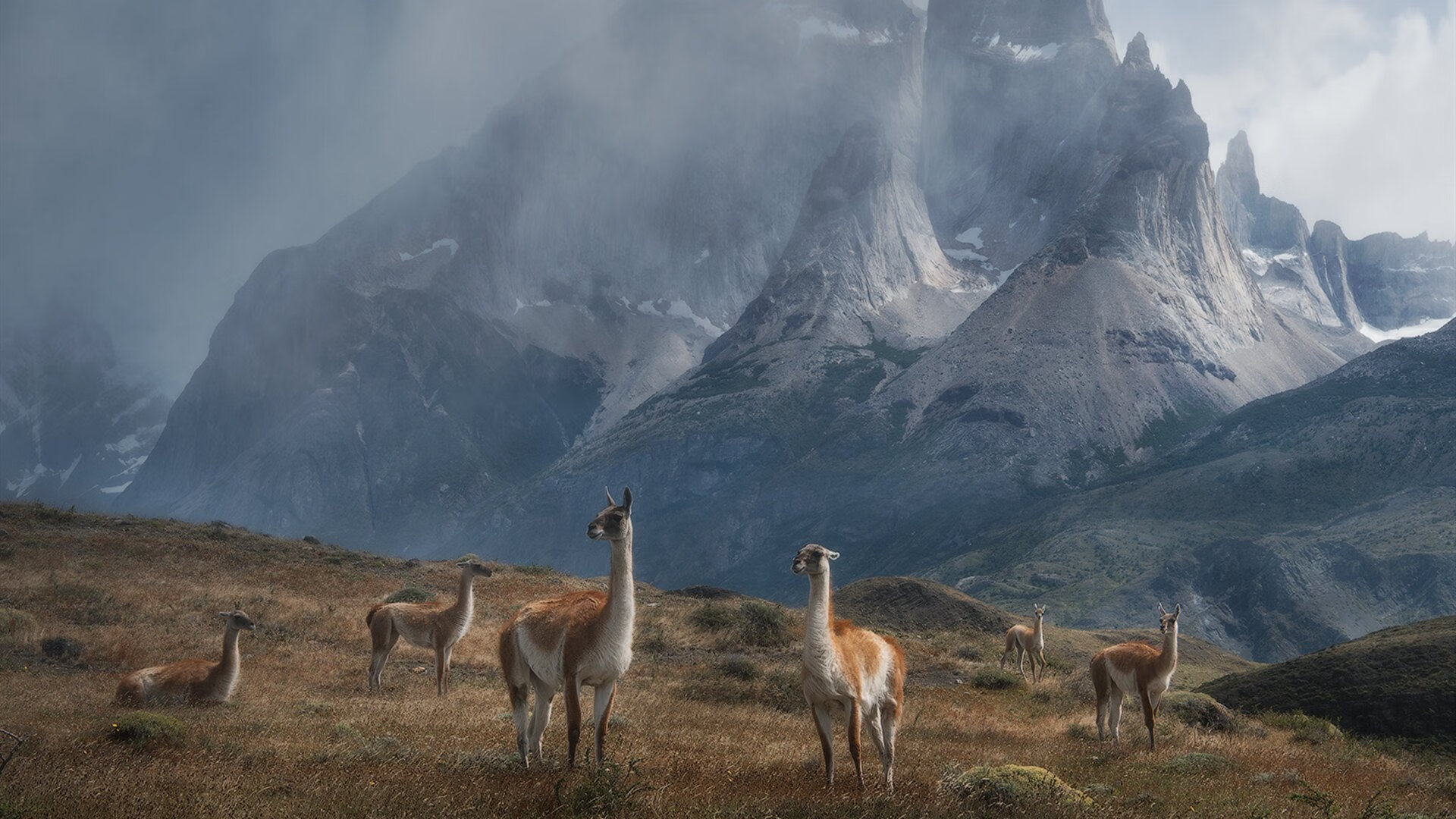 开云·体育官网-男子蝶泳选手冲击决赛席位,中国男子蝶泳名将