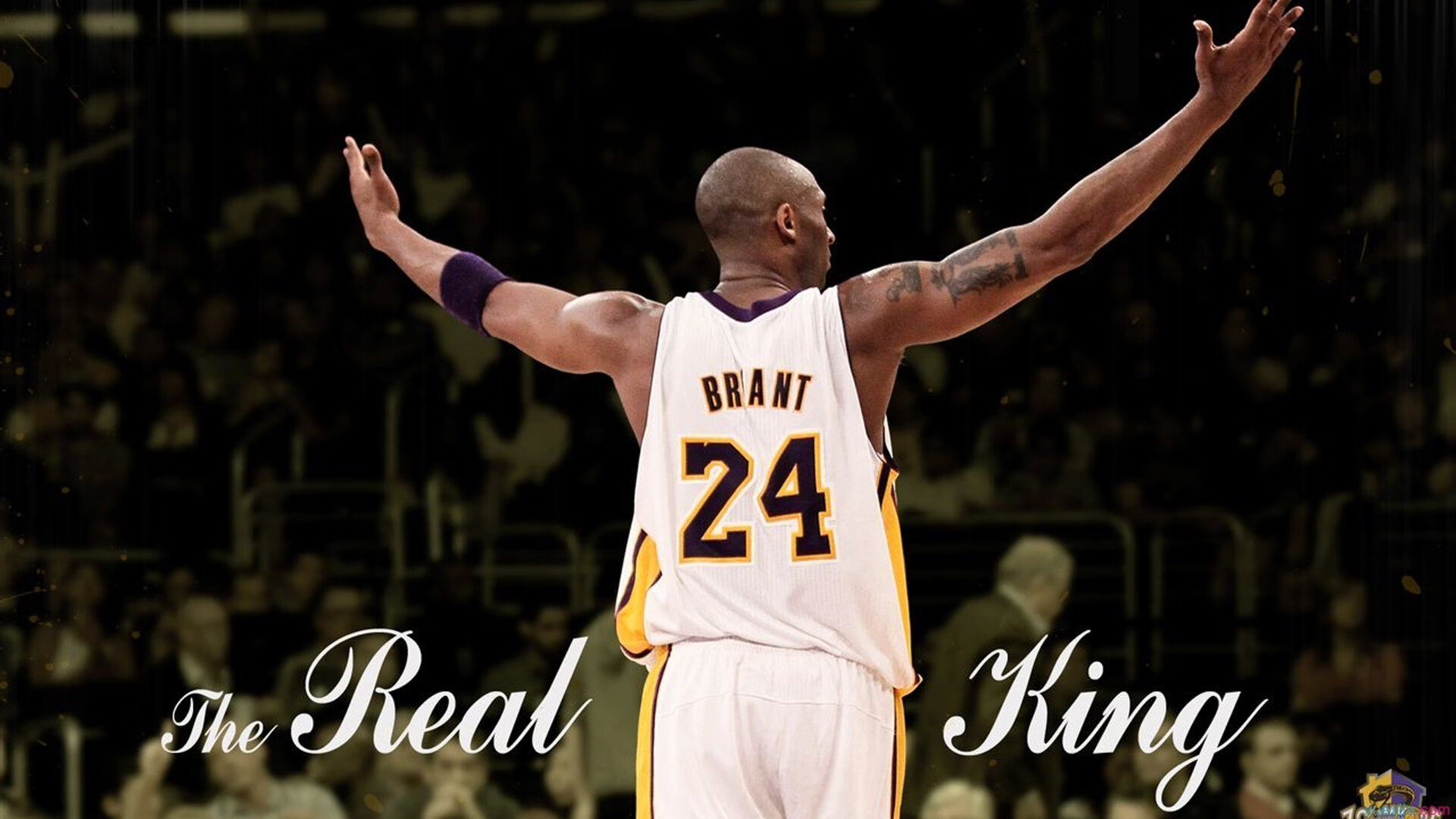 2026体育赛事热点盘点，2022的体育赛事